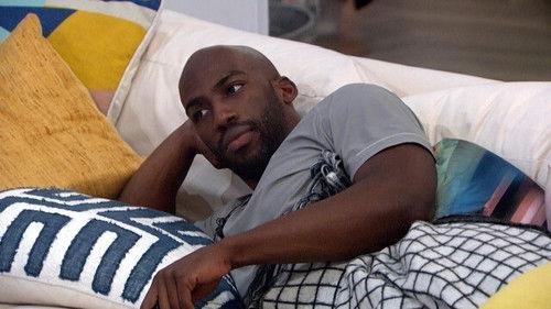 Big Brother Season 23 Episode 20 - Episode 20