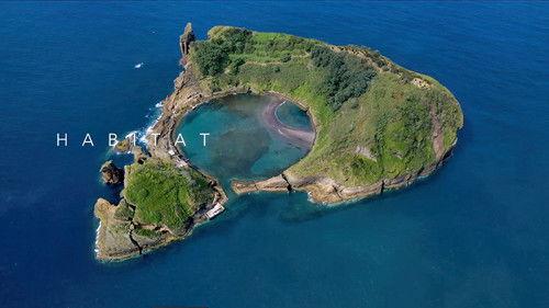 Habitat Season 1 Episode 4 - Episode 4