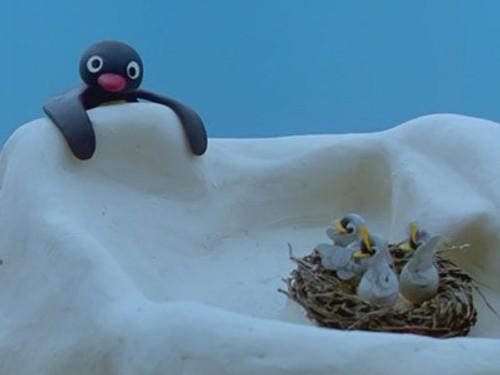 Pingu Season 3 Episode 8 - Pingu and the Birds' Mother