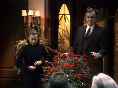 Family Ties Season 3 Episode 15 - Auntie Up