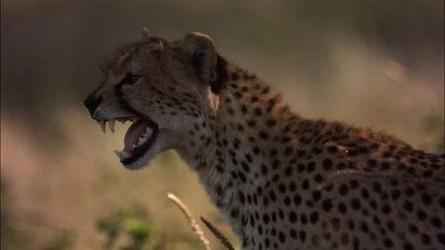 Creative Killers Season 1 Episode 3 - Open Ground