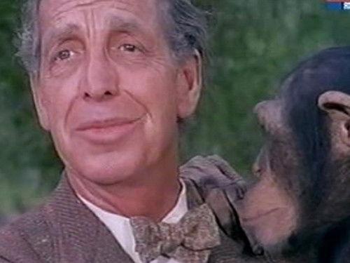 Daktari Season 3 Episode 13 - Judy and the Wizard