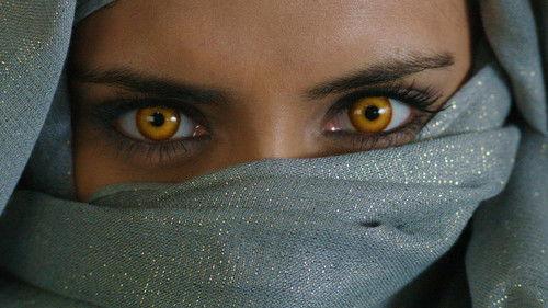 Wolfblood Season 4 Episode 5 - The Quiet Hero