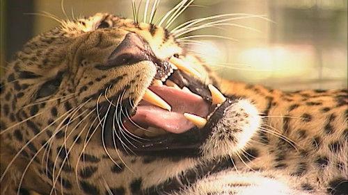 Hilda Hurricane Season 1 Episode 10 - Episode 10