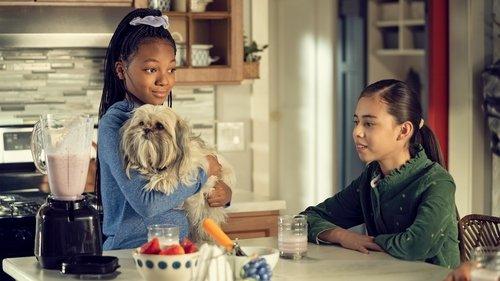 Puppy Place Season 1 Episode 8 - Bandit