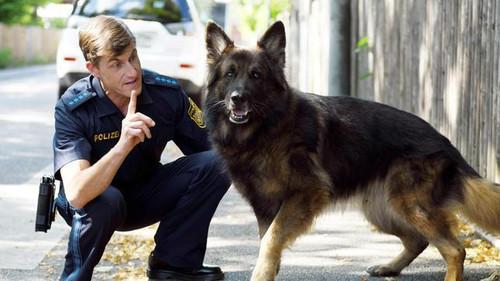 For Heaven's Sake Season 20 Episode 6 - Episode 6