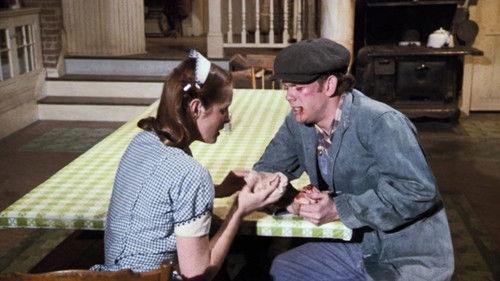 The Waltons Season 5 Episode 17 - The Career Girl