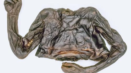 Ancient Unexplained Files Season 1 Episode 5 - Secrets of Mayan Murders