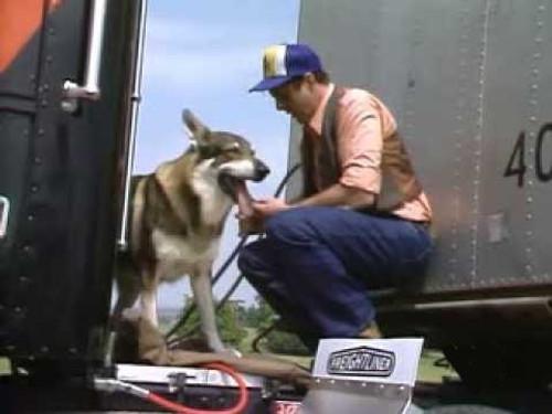 The Littlest Hobo Season 5 Episode 5 - Trucker