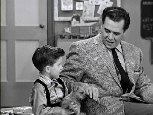 I Love Lucy Season 6 Episode 14 - Little Ricky Gets a Dog