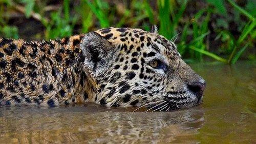 Background image for Hard Rock Holy Grail