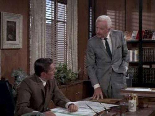 Bewitched Season 5 Episode 12 - Weep No More My Willow
