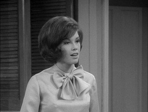 The Dick Van Dyke Show Season 4 Episode 19 - Boy #1, Boy #2