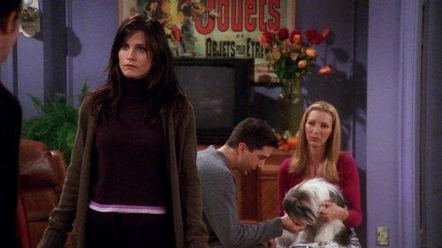 undefined Season 7 Episode 8 - The One Where Chandler Doesn't Like Dogs