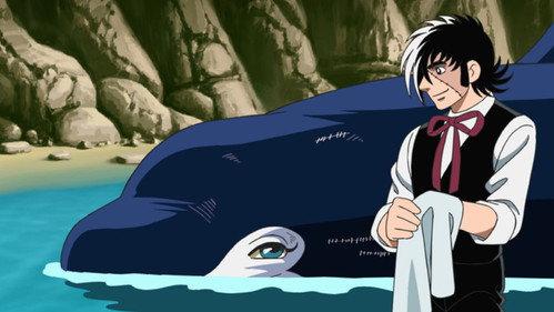 undefined Season 1 Episode 10 - The Gift from a Killer Whale