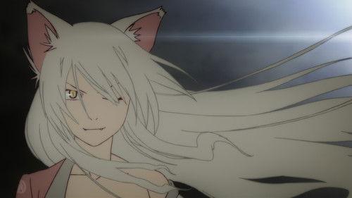 undefined Season 0 Episode 4 - Tsubasa Cat (5)