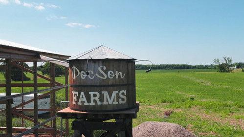 The Incredible Pol Farm Season 1 Episode 6 - Herd the News