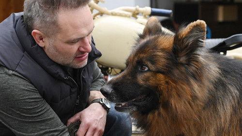 Komisarz Alex Season 18 Episode 10 - Episode 10