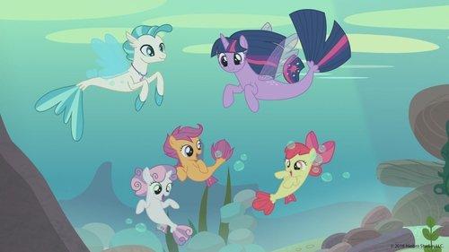 undefined Season 8 Episode 6 - Surf and/or Turf
