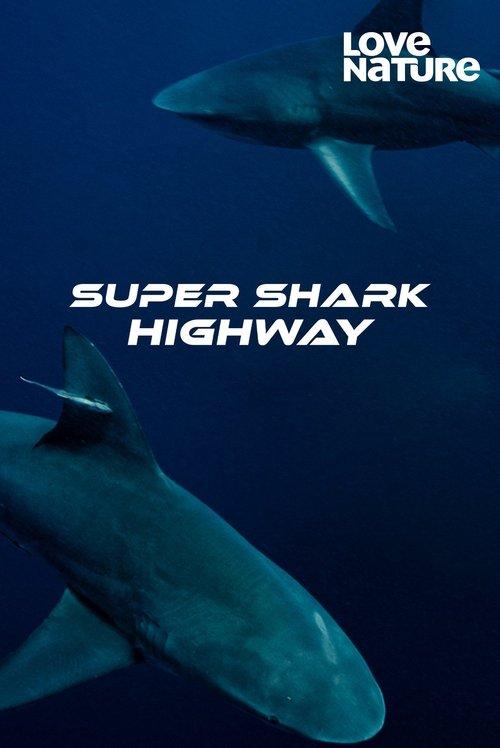 Super Shark Highway poster