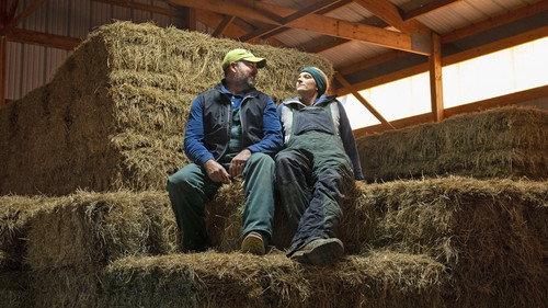 Heartland Docs, DVM Season 3 Episode 6 - What's All the Pus About?