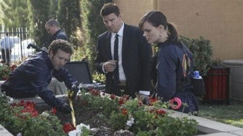 undefined Season 6 Episode 20 - The Pinocchio in the Planter