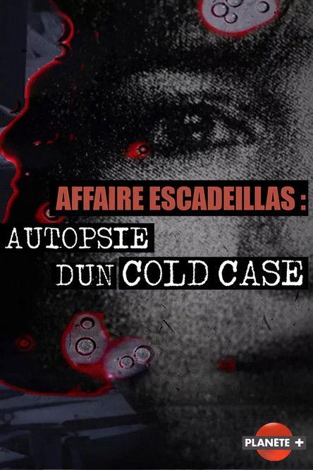 Affaire Escadeillas : autopsie d'un cold-case poster