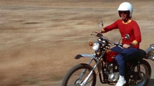 Background image for The Lure of the Lost