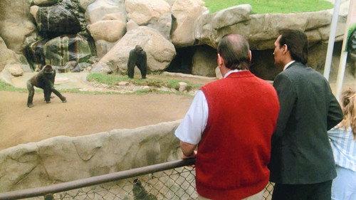 L.A. Law Season 2 Episode 11 - Gorilla My Dreams