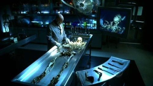 CSI: Crime Scene Investigation Season 9 Episode 9 - CSI-19 down
