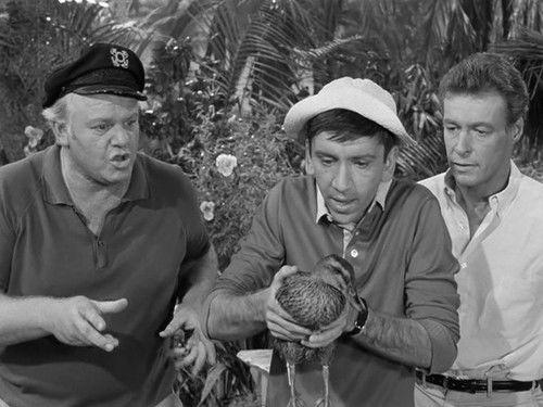 Gilligan's Island Season 1 Episode 7 - The Sound of Quacking