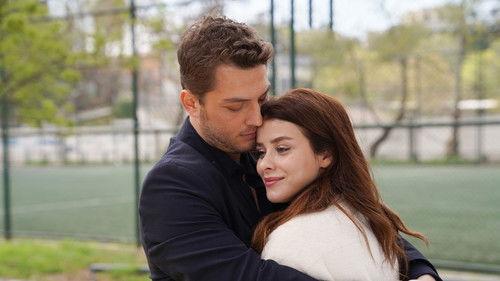 Street Birds Season 2 Episode 30 - Episode 51