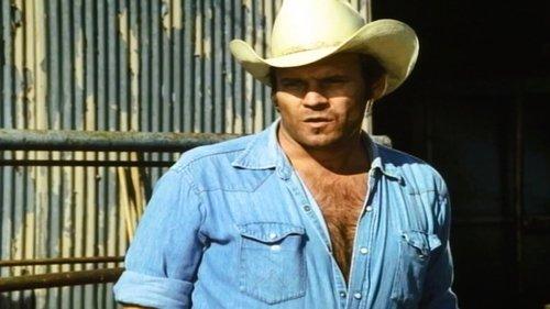 Knots Landing Season 3 Episode 14 - Cricket