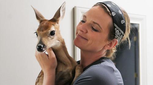 Background image for It’s a Won-Doe-ful Life