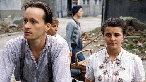 Löwengrube Season 2 Episode 12 - Episode 12