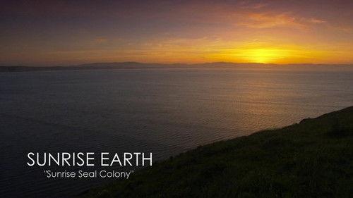 Sunrise Earth Season 1 Episode 13 - Sunrise Seal Colony