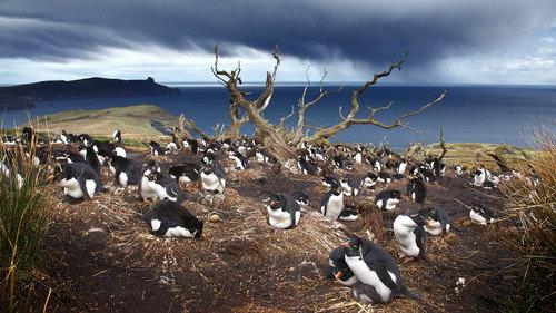 Patagonia: Earth's Secret Paradise Season 1 Episode 3 - Life on the Edge