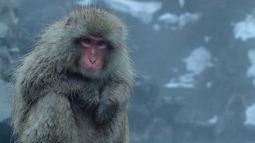 Night on Earth Season 1 Episode 2 - Frozen Nights