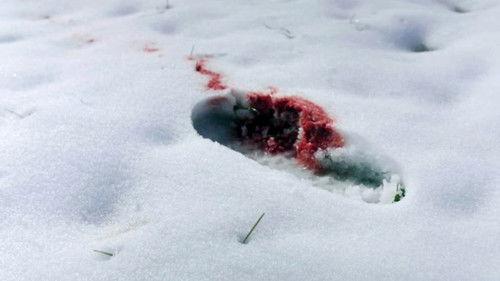 A Time to Kill Season 1 Episode 2 - Footprints in the Snow