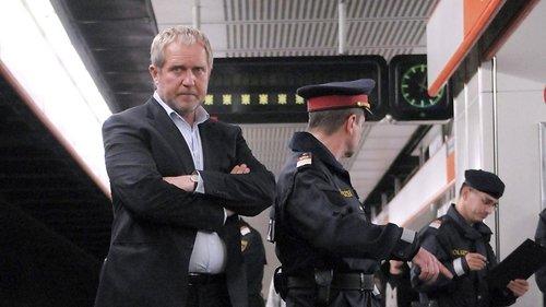 Scene of the Crime Season 42 Episode 8 - Vienna - Retribution