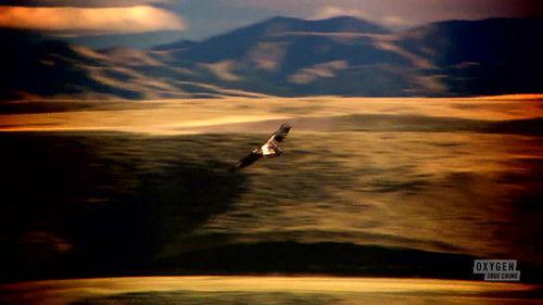 Dateline: Secrets Uncovered Season 10 Episode 52 - Mystery in Big Sky Country