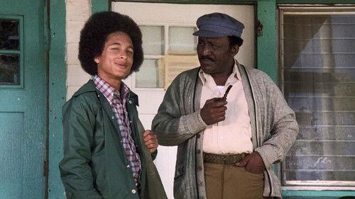 Background image for The Little Brother