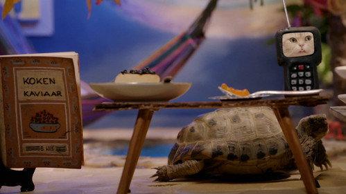 Poesjes Season 2 Episode 10 - Episode 10