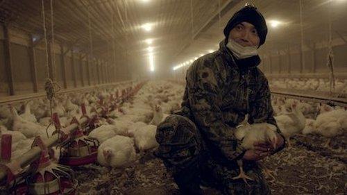 undefined Season 1 Episode 4 - Big Bird