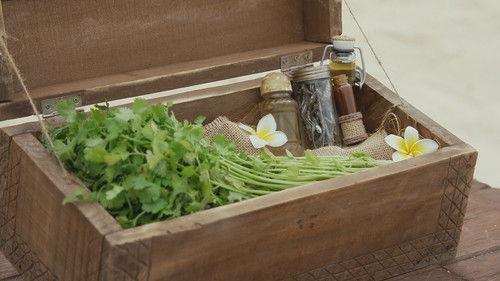 Robinson Season 28 Episode 12 - Episode 12