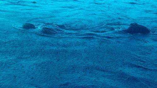 undefined Season 11 Episode 27 - Ryo Dies…