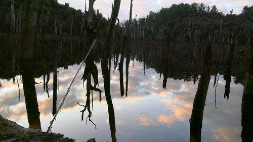 Alone Australia Season 1 Episode 10 - Episode 10