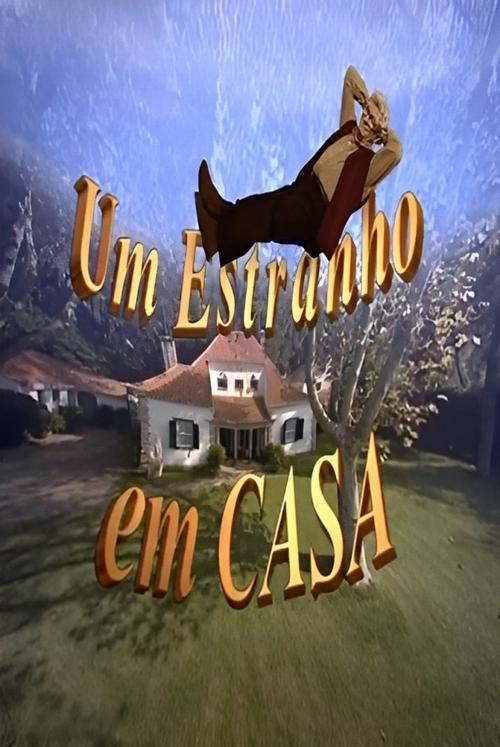Um Estranho em Casa poster