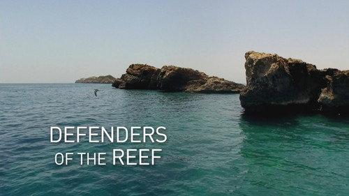 Arabian Seas Season 1 Episode 4 - Defenders of the Reef
