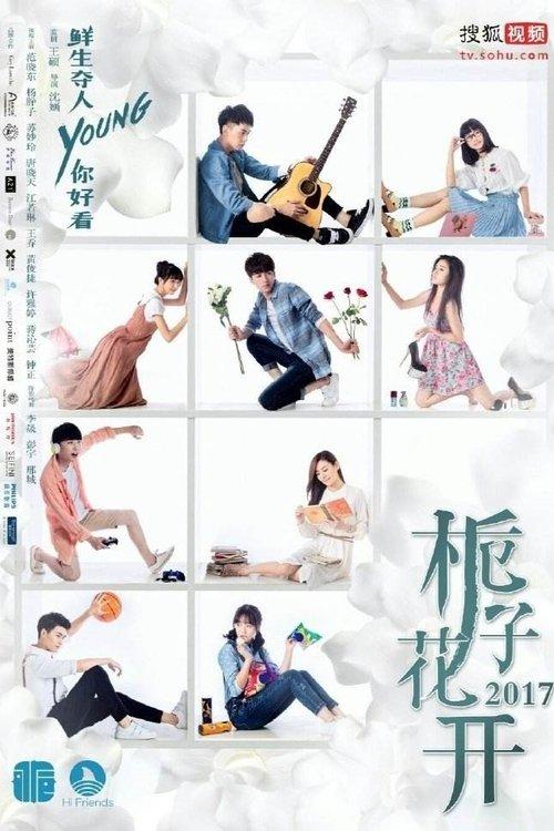 栀子花开 poster